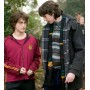Harry Potter Bufanda Hogwarts 190 cm