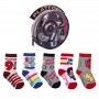 Pack 5 calcetines Harry Potter