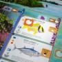 FINSPAN